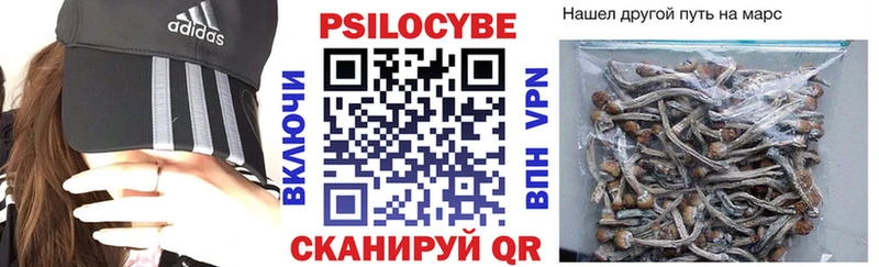 Галлюциногенные грибы GOLDEN TEACHER  что такое наркотик  Оса 